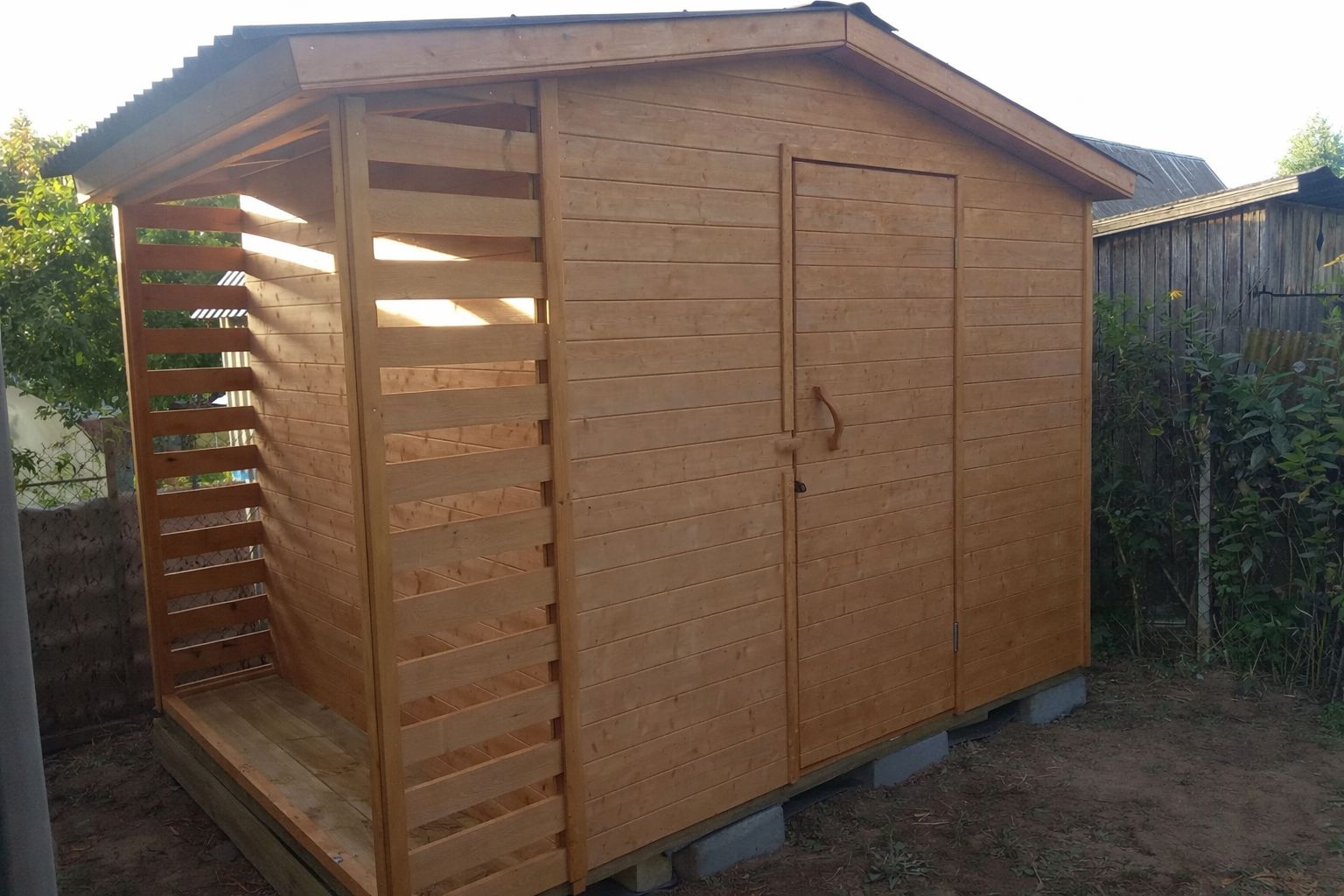 WhatsApp Image 2026-02-02 at 00.13.40